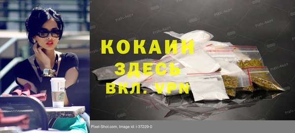 прущие грибы Нея
