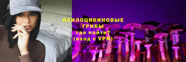 ГАЛЛЮЦИНОГЕННЫЕ ГРИБЫ Нефтегорск