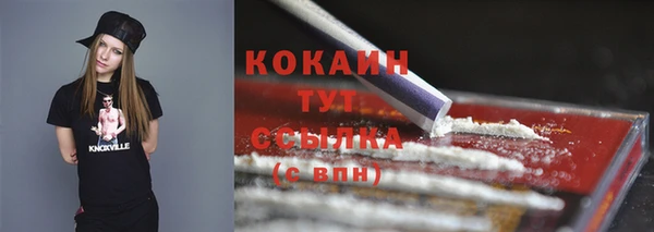 прущие грибы Нея