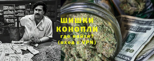 прущие грибы Нея