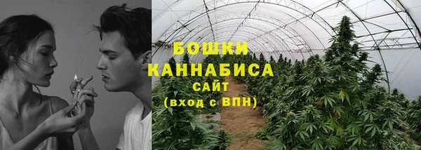 ГАЛЛЮЦИНОГЕННЫЕ ГРИБЫ Навашино