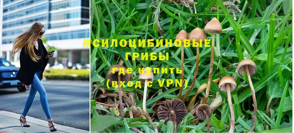 ГАЛЛЮЦИНОГЕННЫЕ ГРИБЫ Нефтегорск