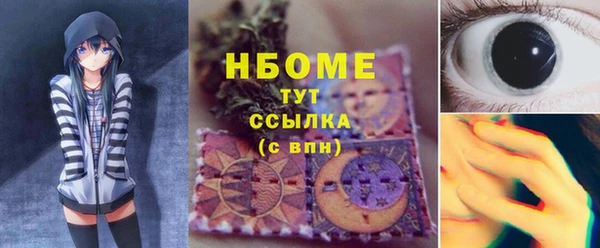 прущие грибы Нея