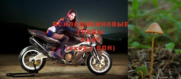 ГАЛЛЮЦИНОГЕННЫЕ ГРИБЫ Нефтегорск