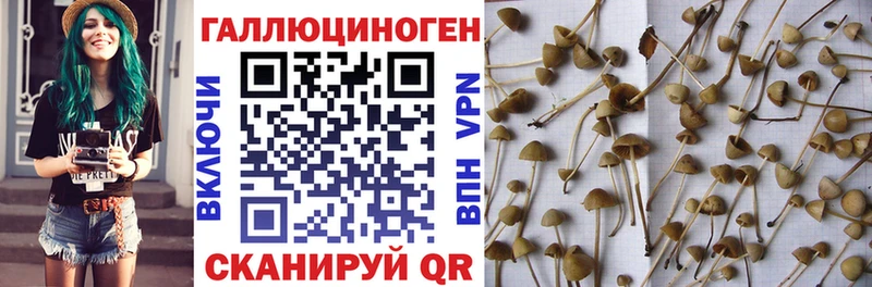 Псилоцибиновые грибы Magic Shrooms Ливны