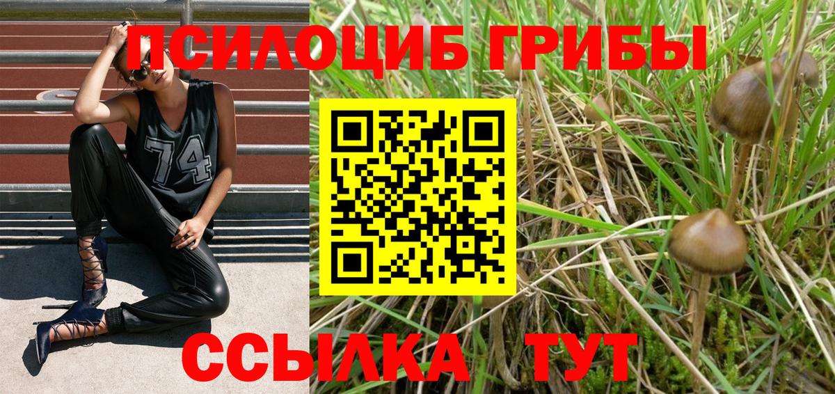 Псилоцибиновые грибы Cubensis  Вход с VPN  Ливны 